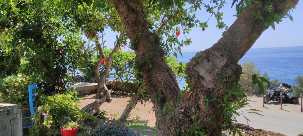 Sifis Place Διαμέρισμα Λέντας Εξωτερικό φωτογραφία